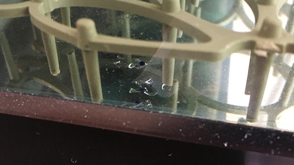 クサガメたわし 砕けた水温計のガラス片